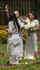 dianisa_medicina_ancestral_terapias_online_en_linea_cuenca_ecuador_reiki_sanacion