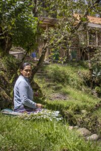 dianisa_medicina_ancestral_terapias_online_en_linea_cuenca_ecuador_reiki_sanacion