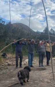 dianisa_medicina_ancestral_terapias_online_en_linea_cuenca_ecuador_reiki_sanacion